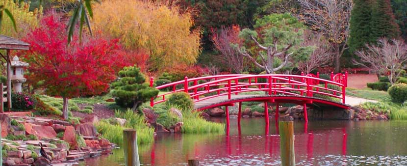 Toowoomba Japanese Gardens