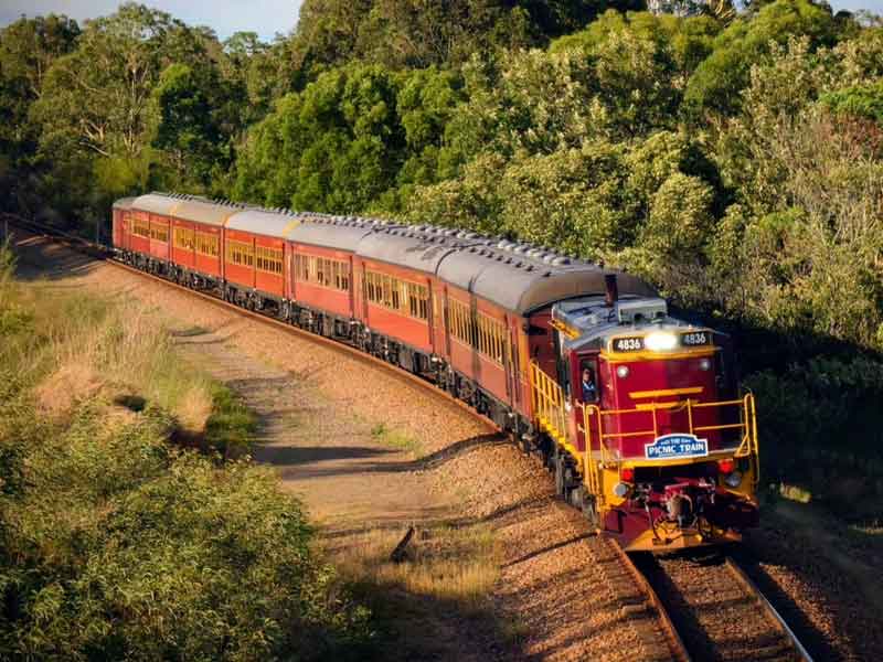 The Picnic Train