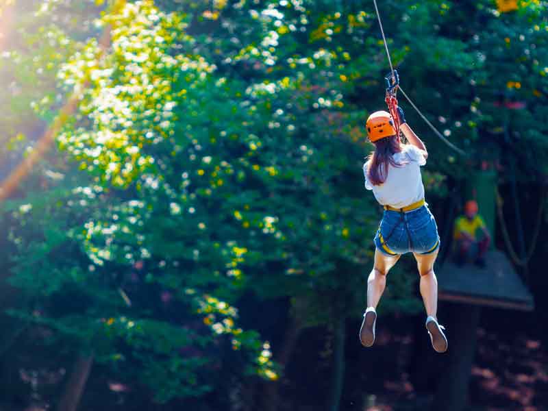 Treetops Adventure