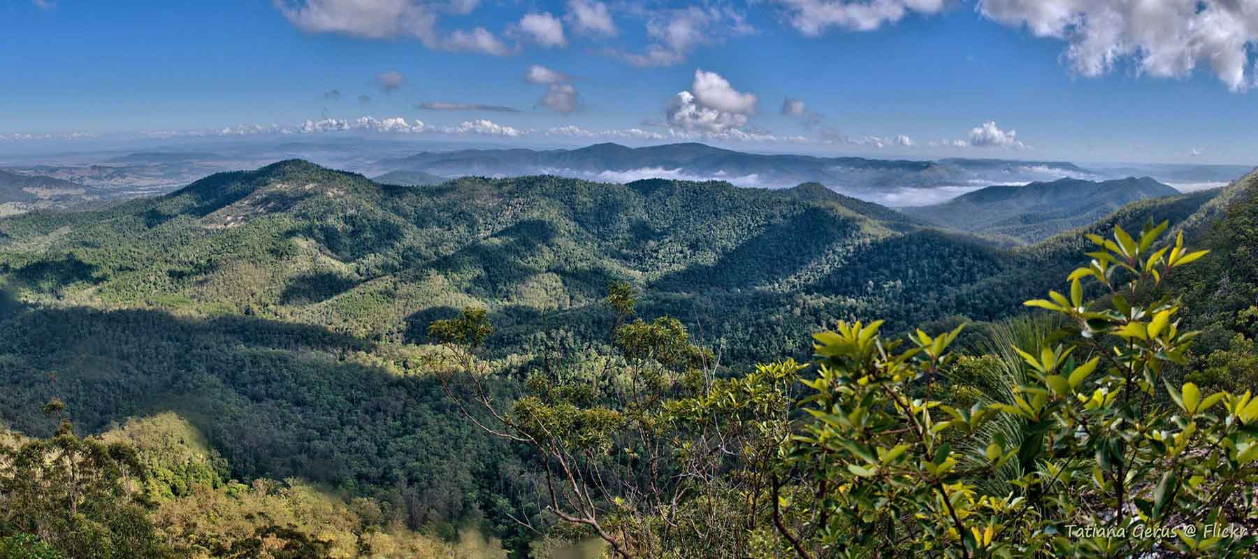 D'Aguilar National Park