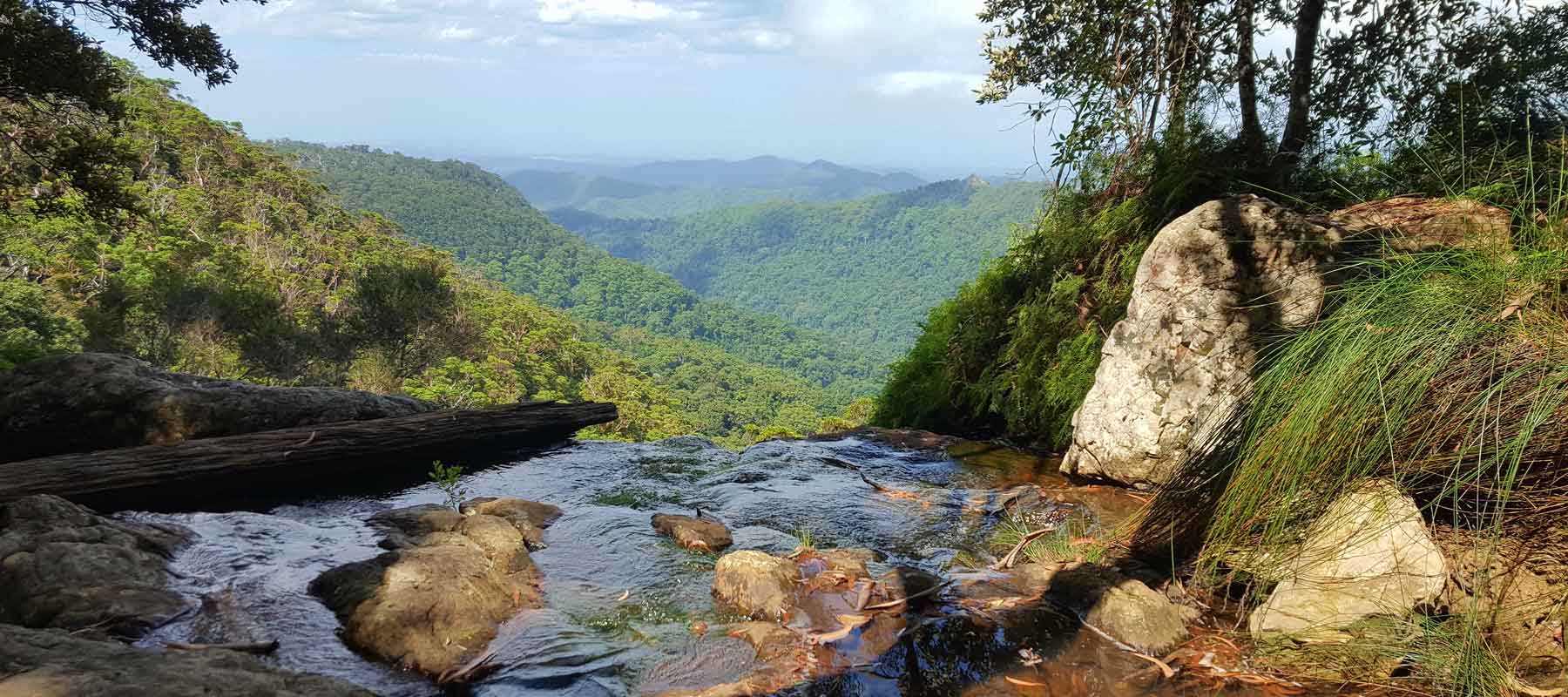 Springbrook National Park