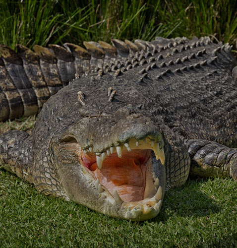 Northern Territory Attractions