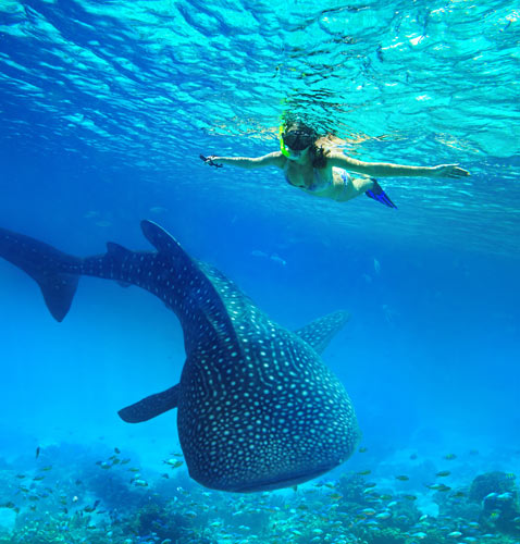 Western Australia Attractions