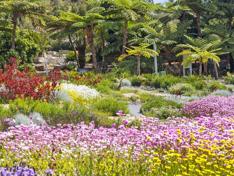 Australian Botanic Garden