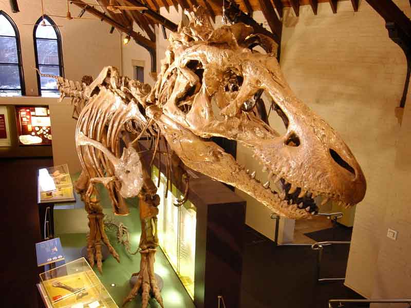 Australian Fossil and Mineral Museum