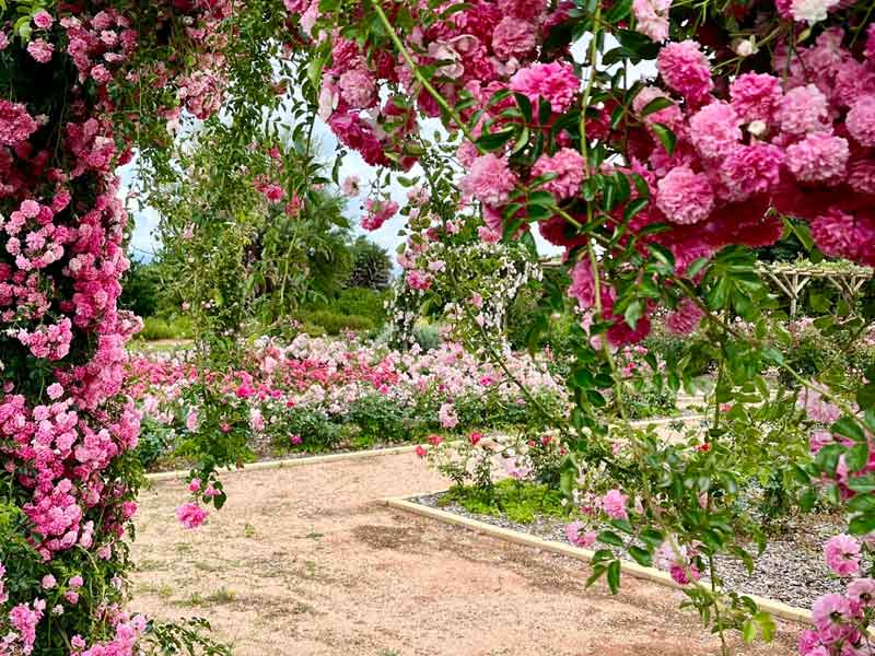 Australian Inland Botanic Gardens
