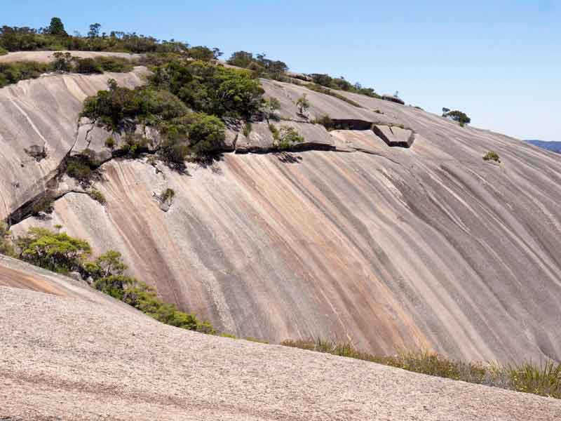 Bald Rock National Park