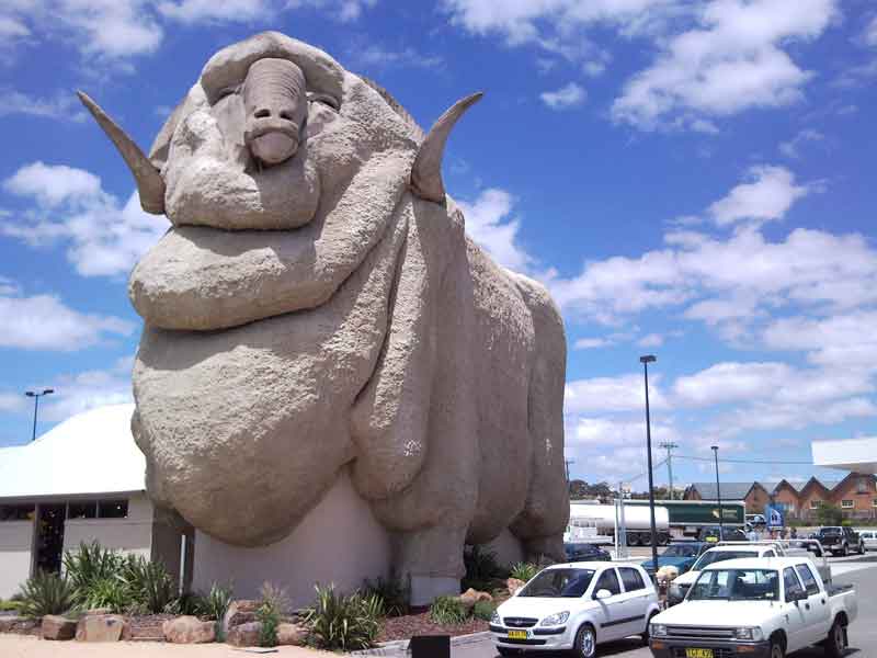 Big Merino Goulburn