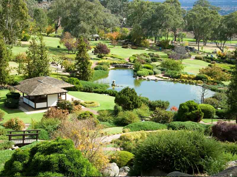 Cowra Japanese Garden