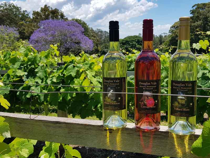 Douglas Vale Homestead & Vineyard