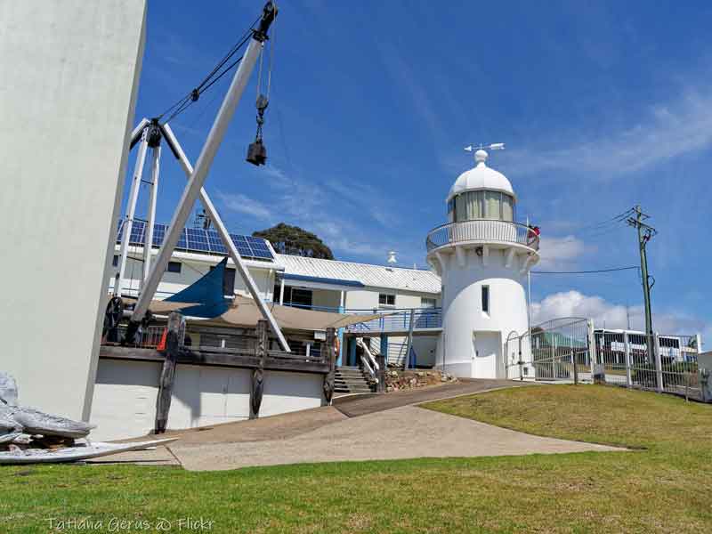 Eden Killer Whale Museum