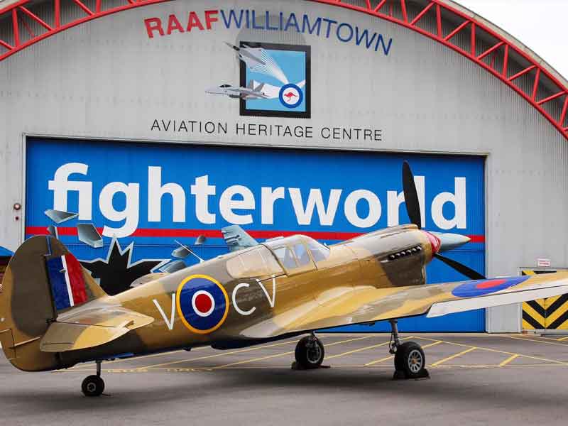 Fighter World