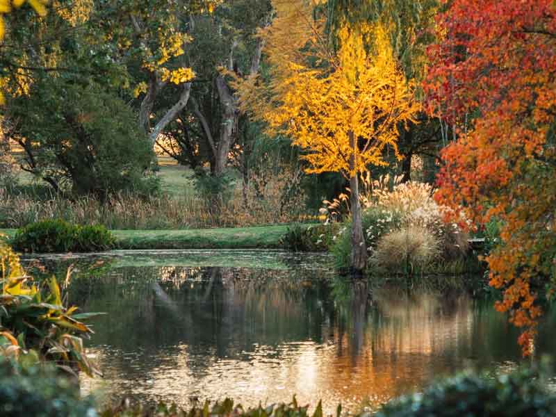 Glenrock Gardens