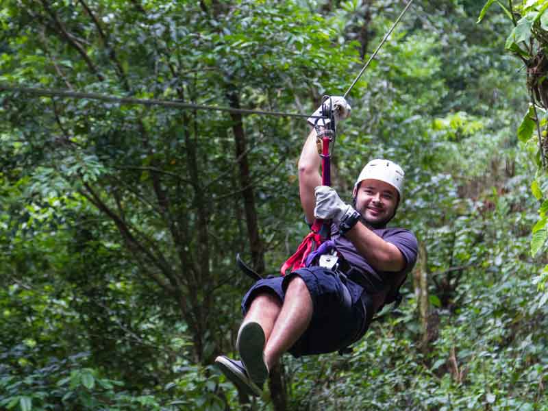 Illawarra Fly Treetop Adventures