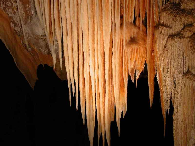 Jenolan Caves