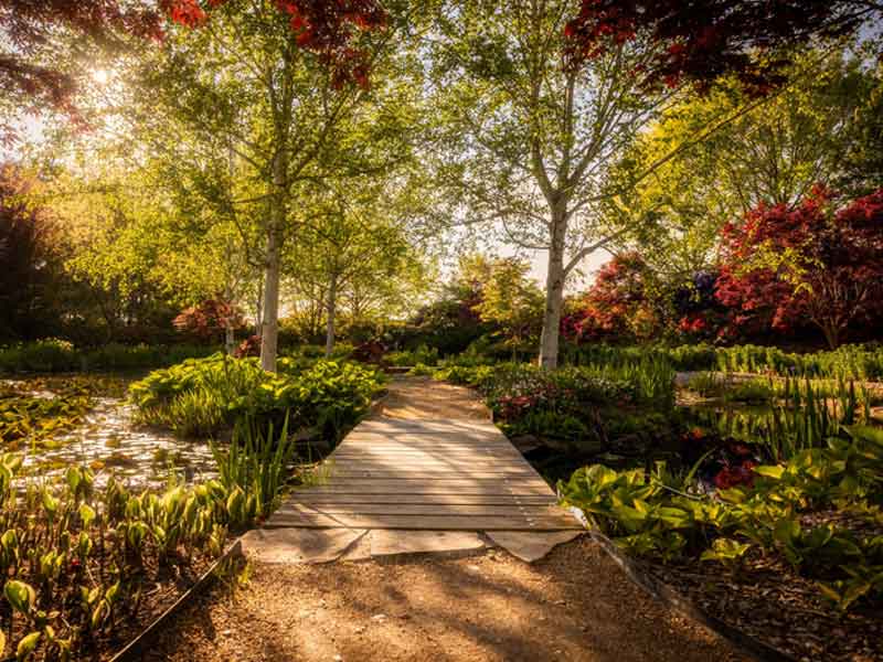 Mayfield Garden