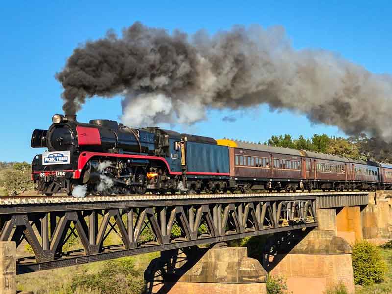 The Picnic Train