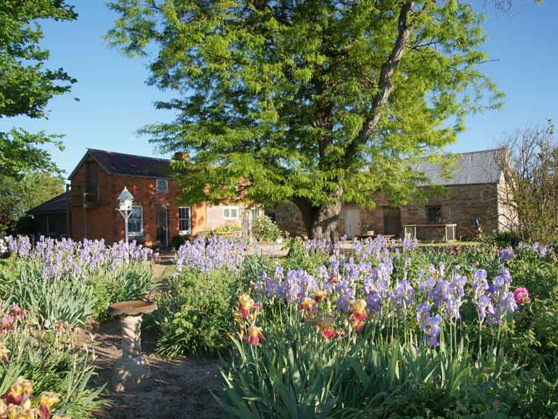 Riversdale Homestead