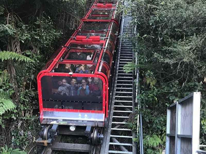 Scenic Railway
