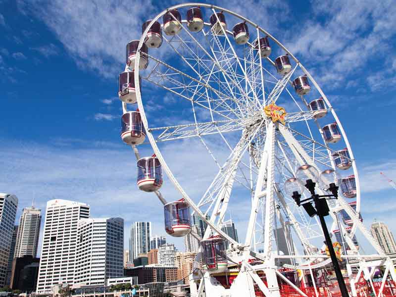 Star of the Show Ferris Wheel Darling Harbour
