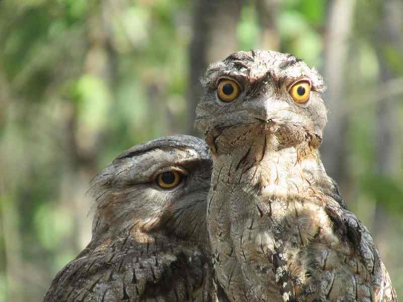 Taralga Wildlife Park