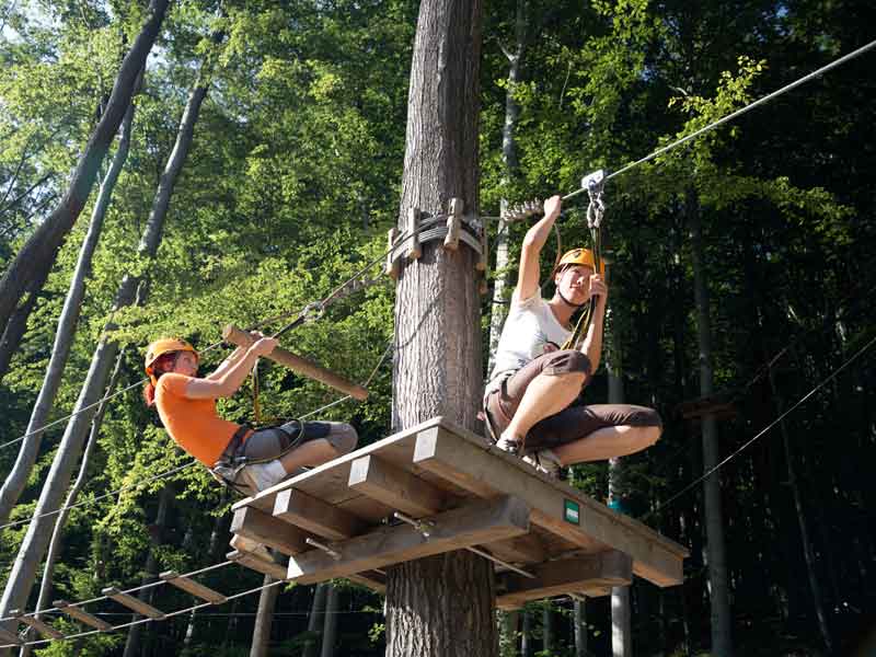 Taronga Zoo Wild Ropes Treetops Adventure
