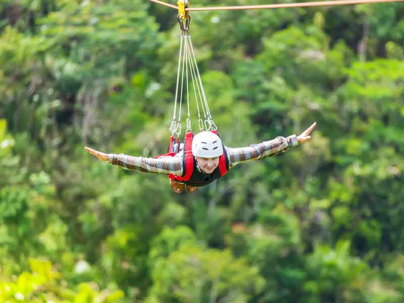 Treetops Adventure Nowra