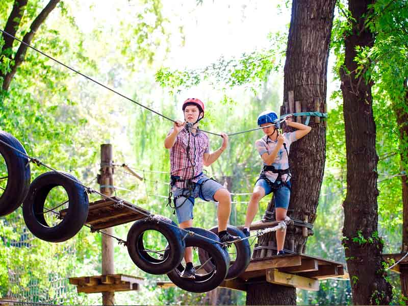 Treetops Adventure The Hills