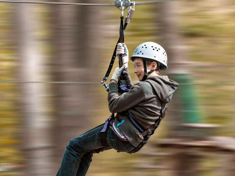 Treetops Adventure Western Sydney