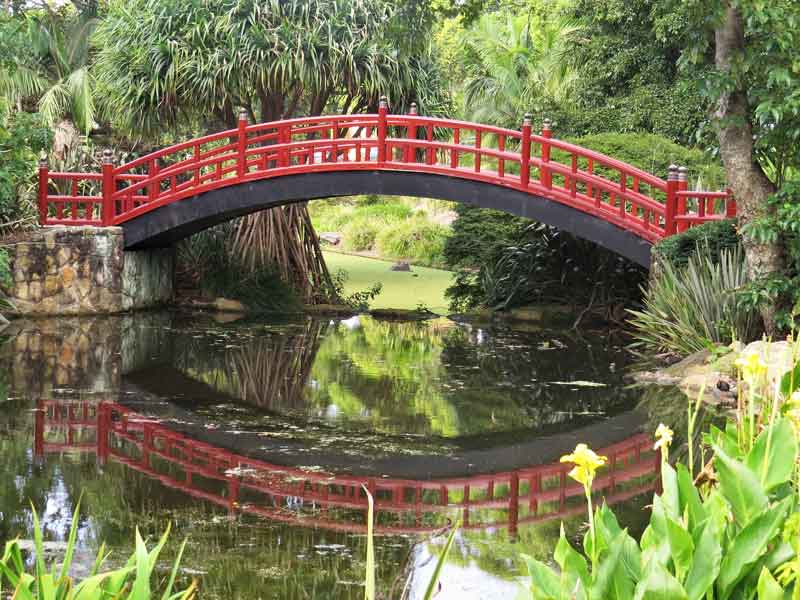 Wollongong Botanic Garden