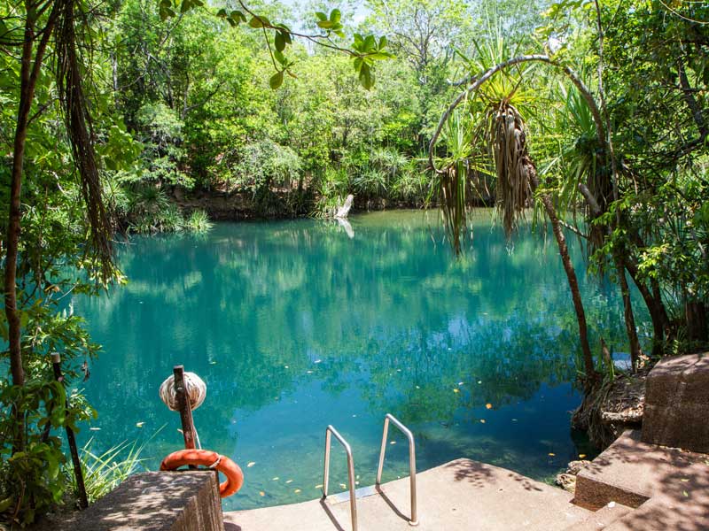 Berry Springs Nature Park Northern Territory