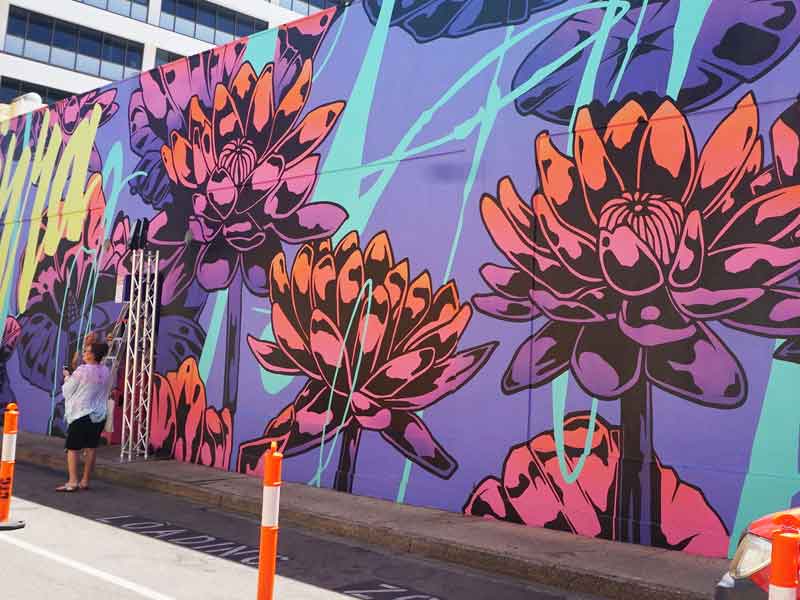Darwin Street Art Western Australia