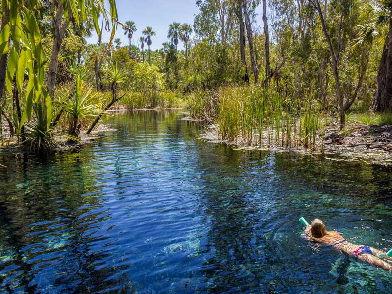 Elsey National Park Northern Territory