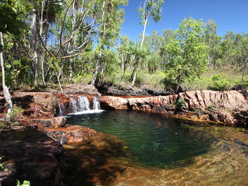 Litchfield National Park Northern Territory