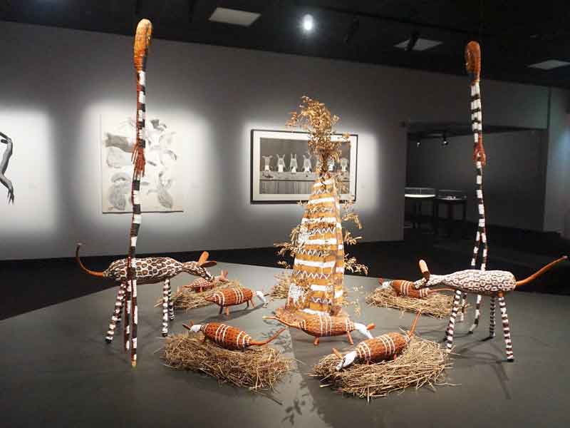 Museum and Art Gallery of the Northern Territory