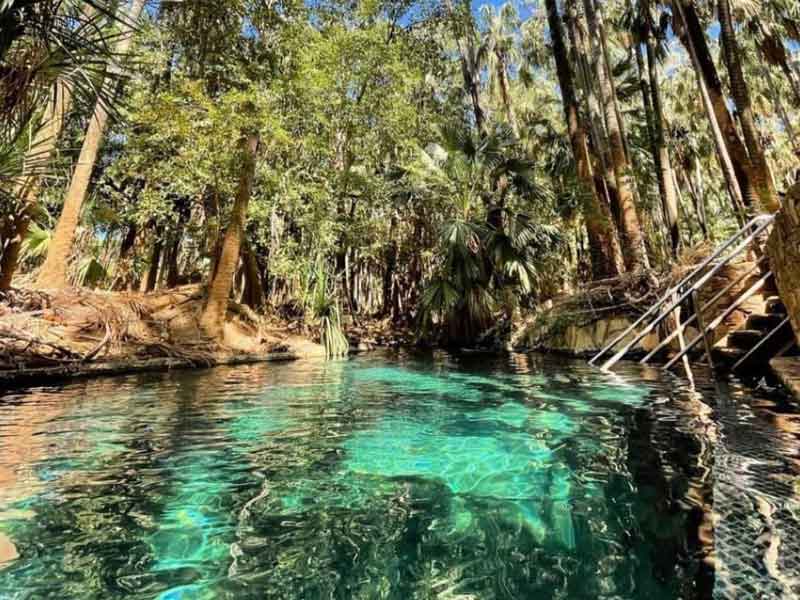 Mataranka Thermal Pool Northern Territory