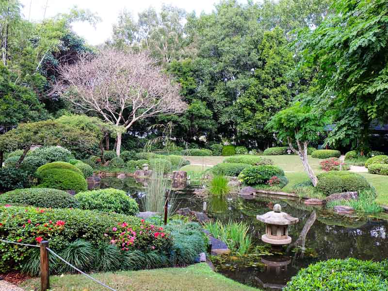 Brisbane Mt Cootha Botanic Gardens