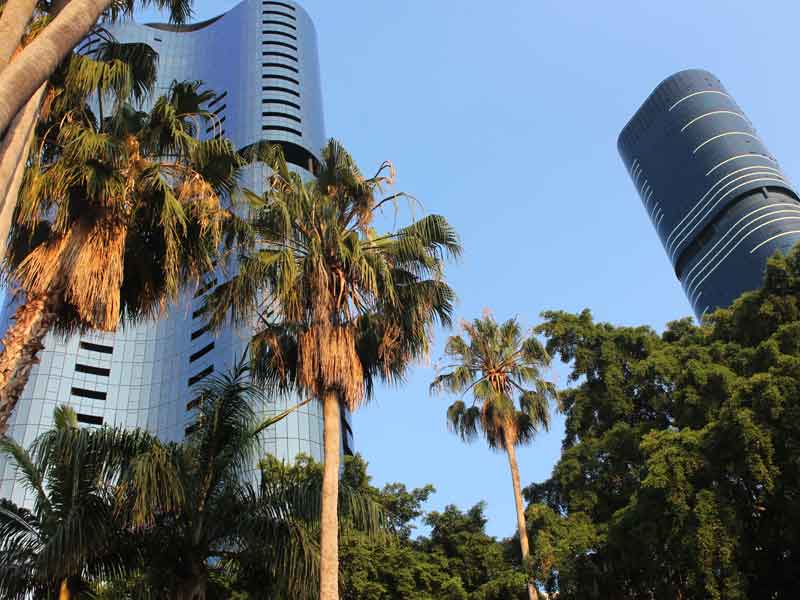 Brisbane City Botanic Gardens