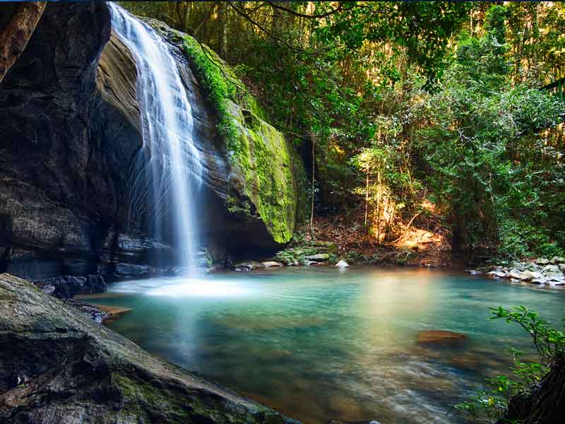 Buderim Falls