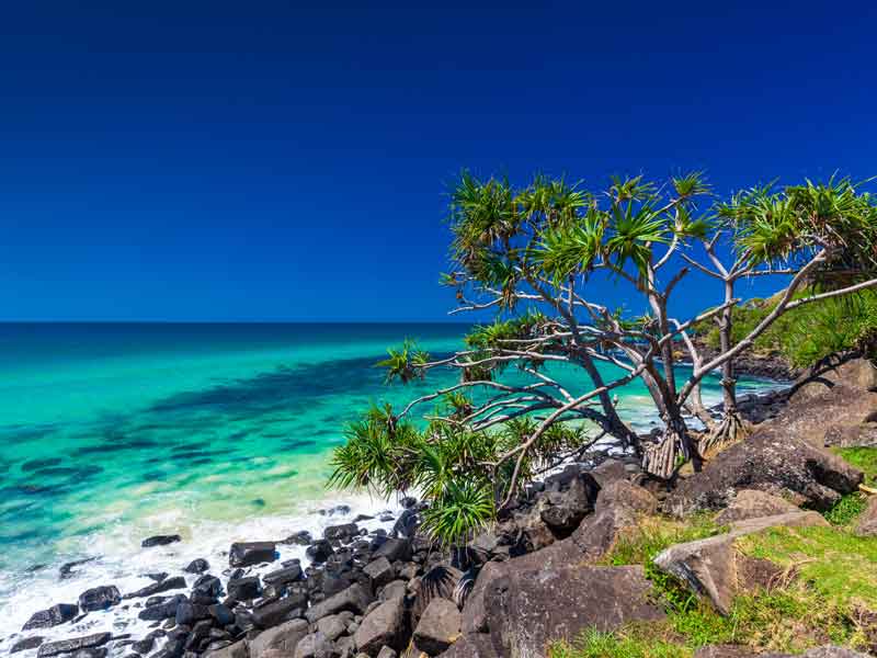 Burleigh Heads National Park