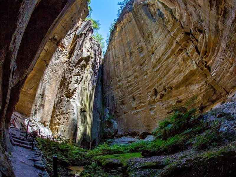 Carnarvon Gorge