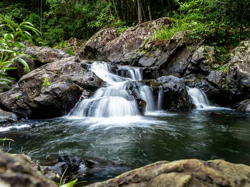 Conondale National Park