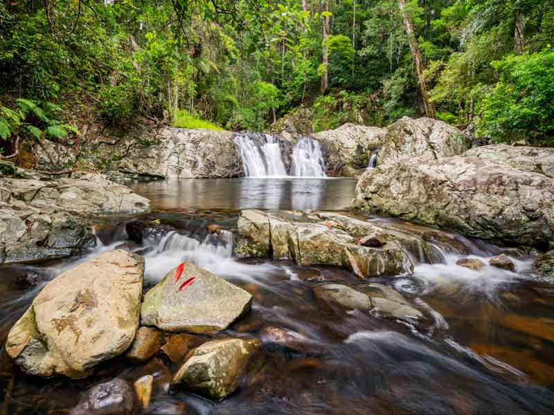 Cougal Cascades