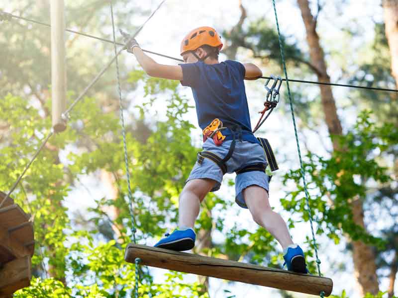 Currumbin Wildlife Park TreeTop Challenge Gold Coast