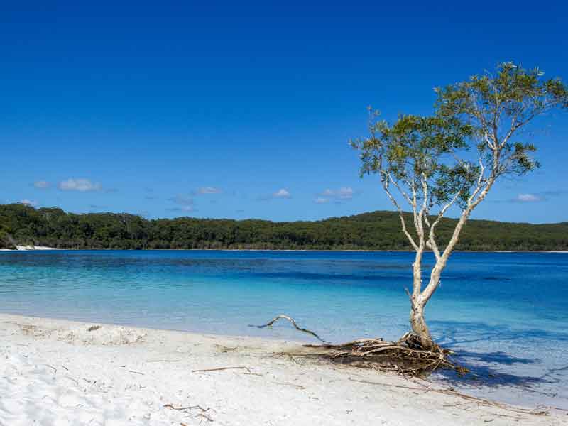 Fraser Island