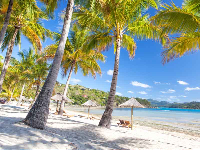 Hamilton Island