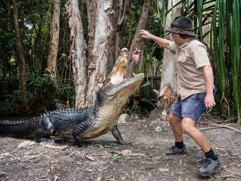 Hartley's Crocodile Adventures