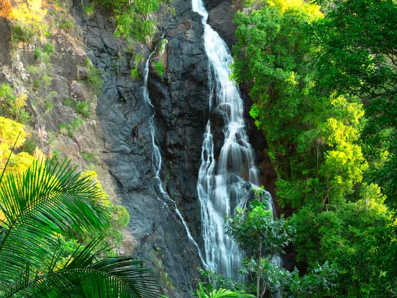 Kondalilla Falls