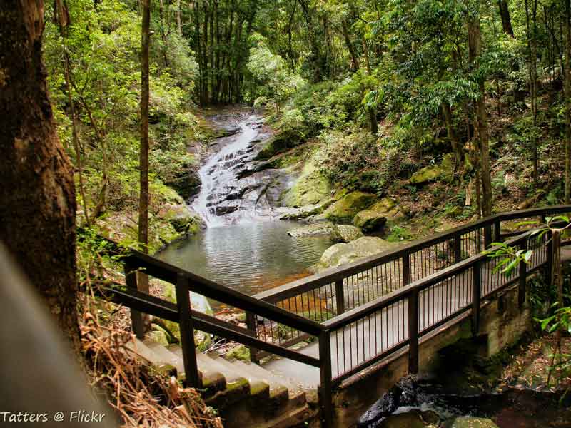 Kondalilla National Park