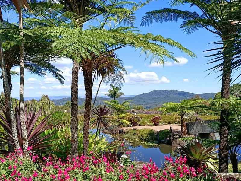 Maleny Botanic Gardens